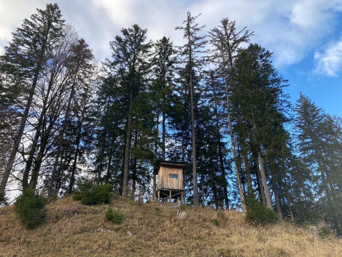 Chalet Wildalpen Esterno foto