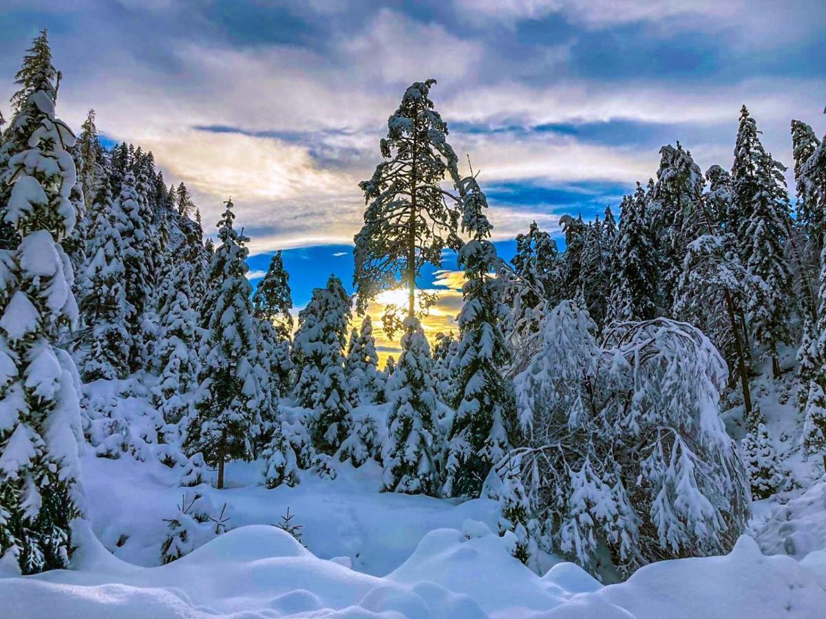 Chalet Wildalpen Esterno foto