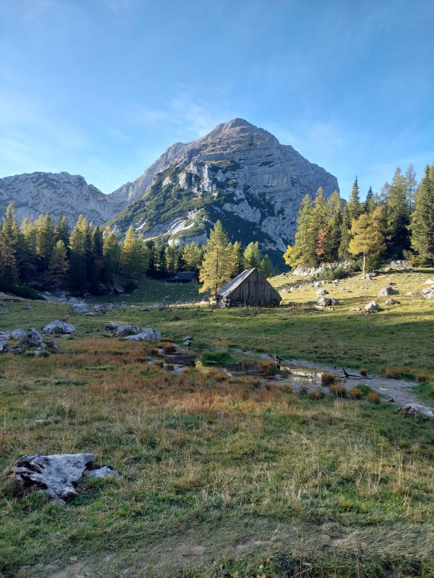 Chalet Wildalpen Esterno foto