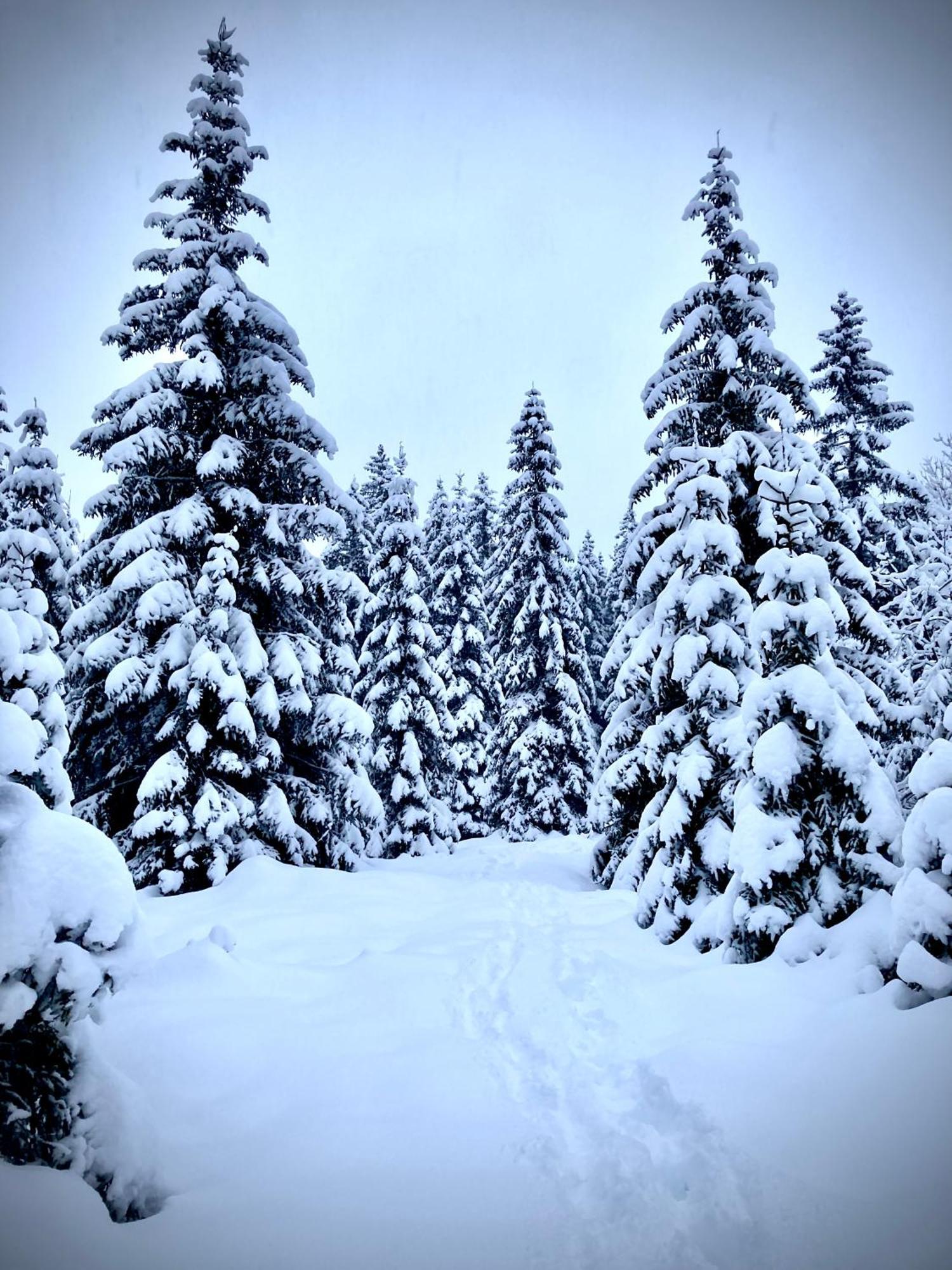 Chalet Wildalpen Esterno foto
