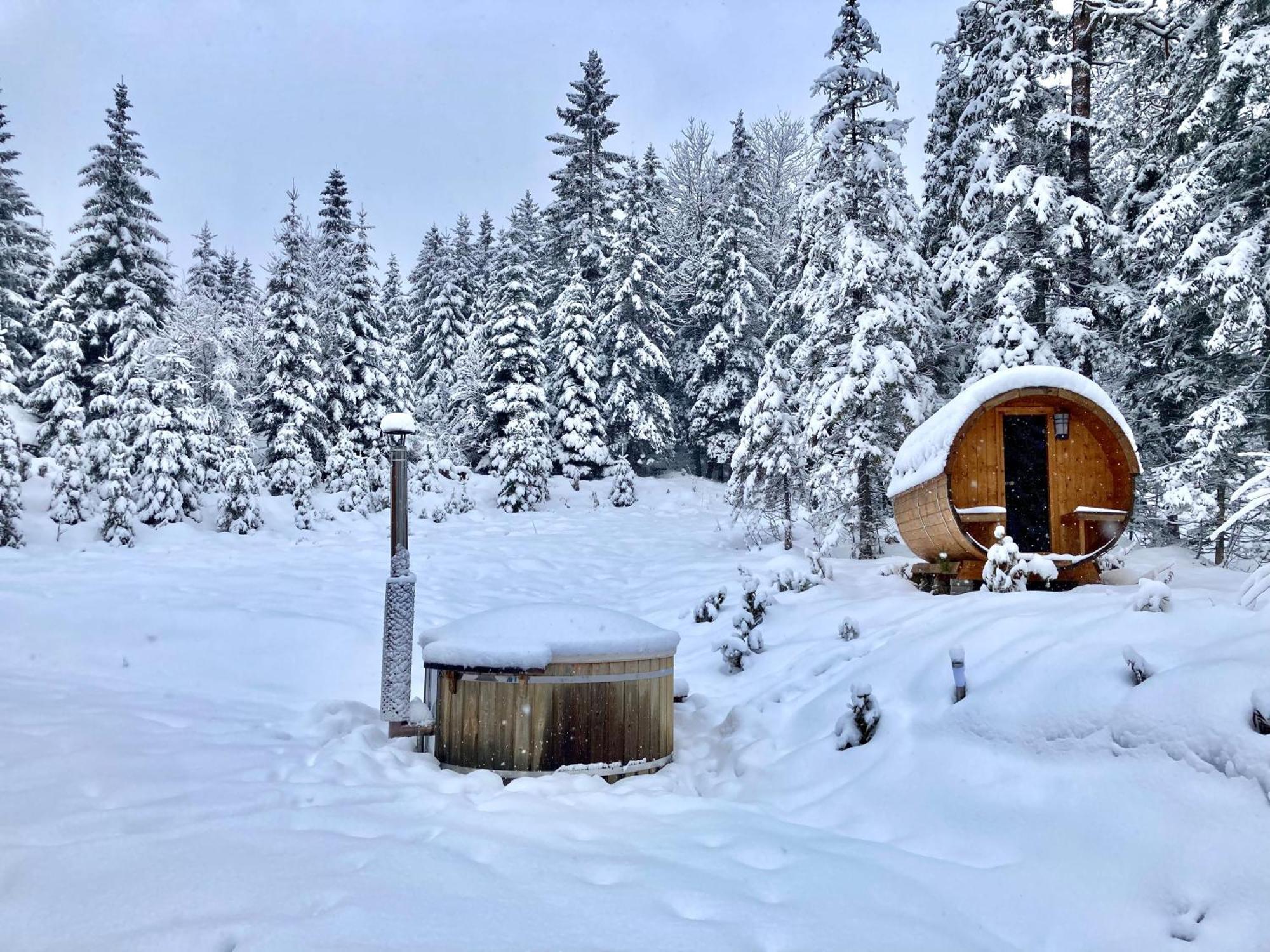 Chalet Wildalpen Esterno foto