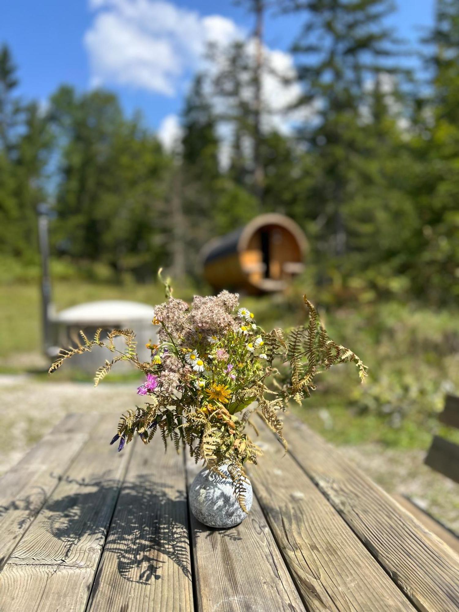 Chalet Wildalpen Esterno foto